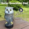 Solar Powered Garden Owl with Motion Detection, Rotating Head, Realistic Hoots and Silent Mode, Outdoor Statue and Sculpture, Owl Decoration for... Solar Powered Garden Owl with Motion Detection, Rotating Head, Realistic Hoots and Silent Mode, Outdoor Statue and Sculpture, Owl Decoration for...