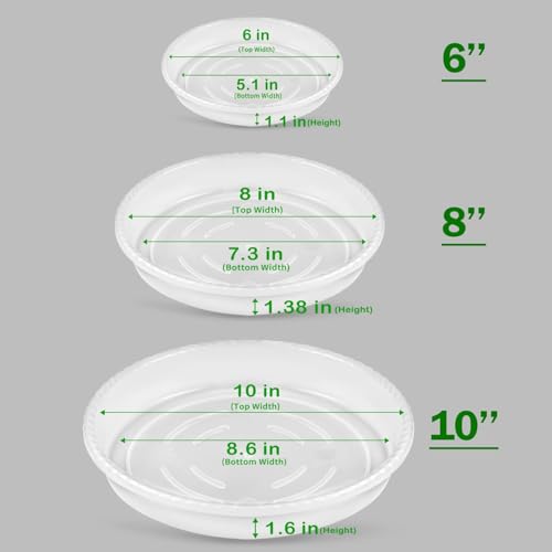 SupKing 9 Pack Plant Saucers (6inch /8inch /10inch), Heavy Sturdy Plant Trays Pot Tray for Indoor Clear Plastic Flower Pot Saucers Thicker Plant... SupKing 9 Pack Plant Saucers (6inch /8inch /10inch), Heavy Sturdy Plant Trays Pot Tray for Indoor Clear Plastic Flower Pot Saucers Thicker Plant...