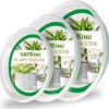 SupKing 9 Pack Plant Saucers (6inch /8inch /10inch), Heavy Sturdy Plant Trays Pot Tray for Indoor Clear Plastic Flower Pot Saucers Thicker Plant... SupKing 9 Pack Plant Saucers (6inch /8inch /10inch), Heavy Sturdy Plant Trays Pot Tray for Indoor Clear Plastic Flower Pot Saucers Thicker Plant...