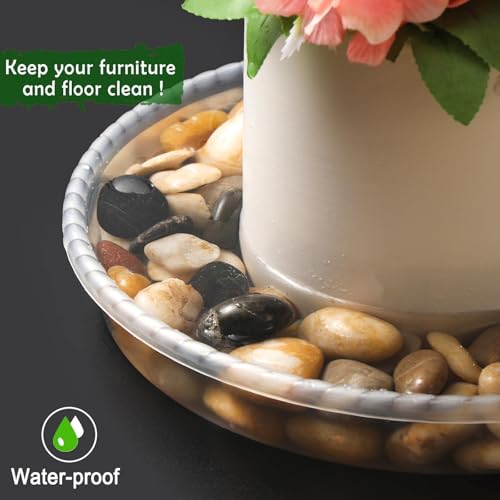 SupKing 9 Pack Plant Saucers (6inch /8inch /10inch), Heavy Sturdy Plant Trays Pot Tray for Indoor Clear Plastic Flower Pot Saucers Thicker Plant... SupKing 9 Pack Plant Saucers (6inch /8inch /10inch), Heavy Sturdy Plant Trays Pot Tray for Indoor Clear Plastic Flower Pot Saucers Thicker Plant...