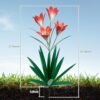 TOMBABY 32.28 Inch Metal Agave Plant Outdoor Decoration Lily Mexican Yard Art Garden Gift Home Decor Hand Painted Metal Agave Garden Yard Statue... TOMBABY 32.28 Inch Metal Agave Plant Outdoor Decoration Lily Mexican Yard Art Garden Gift Home Decor Hand Painted Metal Agave Garden Yard Statue...
