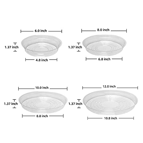 TRUEDAYS 20 Pack Plant Saucers (6 inch / 8inch / 10inch / 12inch) Clear Plant Saucers Flower Pot Tray Excellent for Indoor & Outdoor Plants TRUEDAYS 20 Pack Plant Saucers (6 inch / 8inch / 10inch / 12inch) Clear Plant Saucers Flower Pot Tray Excellent for Indoor & Outdoor Plants