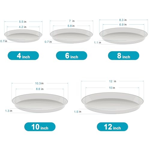 VUWEZ 6 Pack Plant Saucer Tray, 4 6 8 10 12 15 16 18 20 inch Plant Saucers for Indoors, Durable Plastic Flower Planter Plant Water Drip Trays... VUWEZ 6 Pack Plant Saucer Tray, 4 6 8 10 12 15 16 18 20 inch Plant Saucers for Indoors, Durable Plastic Flower Planter Plant Water Drip Trays...