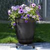 W B D WEIBIDA Plant Caddy with Wheels Heavy Duty 440lbs Capacity, Adjustable 15-21 Inch Rolling Plant Stand Indoor Outdoor, Large Plant Cart Dolly... W B D WEIBIDA Plant Caddy with Wheels Heavy Duty 440lbs Capacity, Adjustable 15-21 Inch Rolling Plant Stand Indoor Outdoor, Large Plant Cart Dolly...