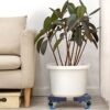 W B D WEIBIDA Plant Caddy with Wheels Heavy Duty 440lbs Capacity, Adjustable 15-21 Inch Rolling Plant Stand Indoor Outdoor, Large Plant Cart Dolly... W B D WEIBIDA Plant Caddy with Wheels Heavy Duty 440lbs Capacity, Adjustable 15-21 Inch Rolling Plant Stand Indoor Outdoor, Large Plant Cart Dolly...